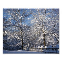 Ramas de la impresión fotográfica de la nieve 10x8