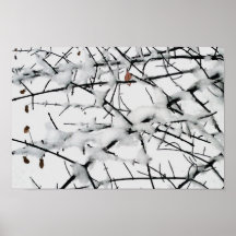 ramas del invierno poster