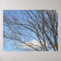 Ramas del invierno poster