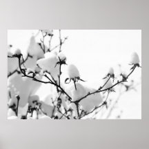 Ramas Posters