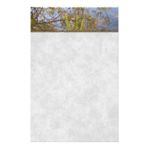 Ramas reflejadas papelería de diseño