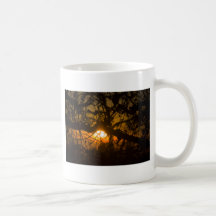 Ramas y ramitas tazas de café