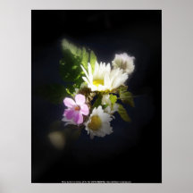 ramo 2 del wildflower posters