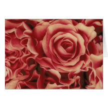 Ramo coralino de los rosas de rojos, floral, plant tarjetas