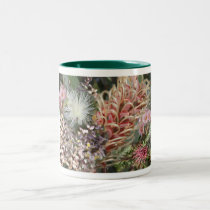 Ramo de flores nativas australianas tazas