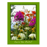 Ramo del Wildflower Tarjeta Postal