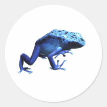 Rana azul del dardo del veneno pegatina redonda