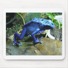 Rana azul del dardo del veneno tapete de raton