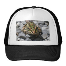 Rana de leopardo gorras de camionero