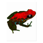 Rana del dardo de la selva tropical tarjetas postales
