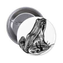 Rana del vintage pins