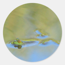 Rana flotante pegatinas redondas