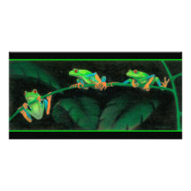 Ranas arbóreas Rojo-Observadas Tarjeta Fotografica Personalizada