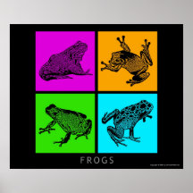 Ranas coloridas posters