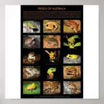 Ranas del poster de Australia