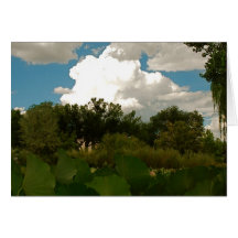 Ranchos del Los, nanómetro Tarjeta
