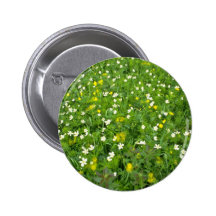 Ranúnculos y flores blancas del thimbleweed pins