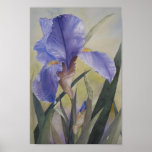 Rapsodia de la primavera del POSTER