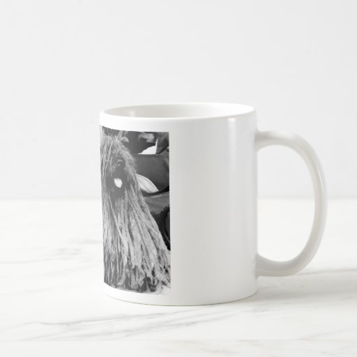RASTADAWG TAZAS