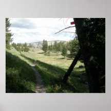 Rastro de Beaverponds, Yellowstone Poster