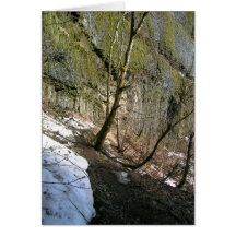 Rastro de Eagle Creek con nieve Felicitación