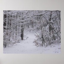 Rastro de la nieve posters
