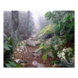 Rastro de niebla arte fotográfico