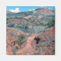 Rastro del barranco del Duro de Palo Imán Para Frigorifico
