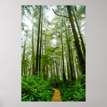 Rastros, árboles y cuentos sin fin de la selva tro posters