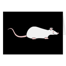 Rata blanca del mascota del albino felicitaciones