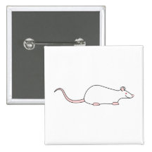 Rata blanca del mascota del albino pin