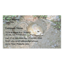 Rata de Kangeroo Tarjetas De Visita