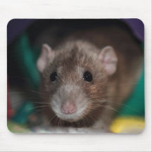Rata de lujo Mousepad de Dumbo