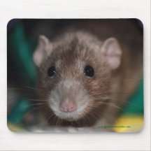 Rata de lujo Mousepad de Dumbo