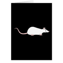 Rata del blanco del mascota felicitacion 