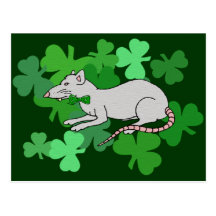 Rata del día de St Patrick Tarjeta Postal