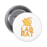 Rata del laboratorio del queso pins