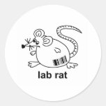Rata del laboratorio etiquetas redondas