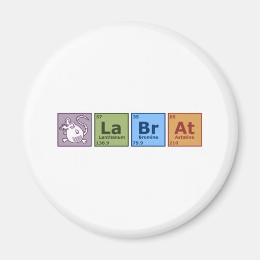 Rata del laboratorio iman de frigorífico