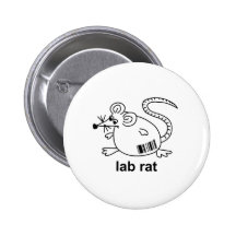 Rata del laboratorio pin