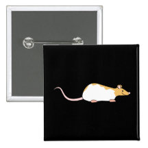 Rata del mascota. Canela y blanco, abigarrado enca Pins