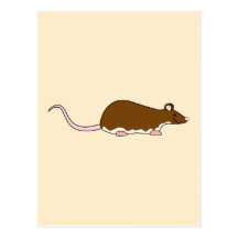 Rata del mascota de Brown. Berkshire, vientre blan Tarjetas Postales