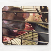 ¡Ratas!  cojín de ratón del ordenador Tapete De Ratones