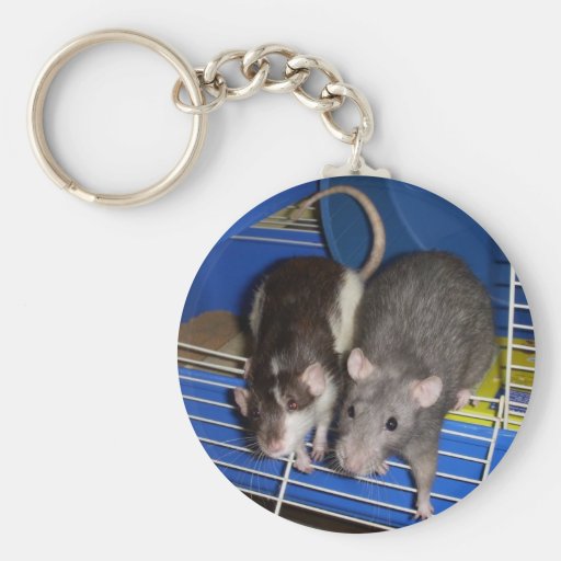 Ratas dulces llavero