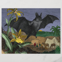 Ratón de vuelo grande del vampiro flyer a todo color