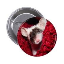 Ratón - Zorro Pin