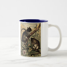 Ratones de campo domésticos de los animales tazas de café