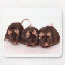 ratones tapetes de ratones
