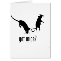 Ratones Tarjeton