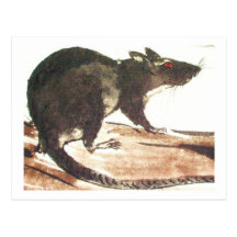 Ratte No. 01 * Rat * Ratten-Postkarten* Rat-Art-Po